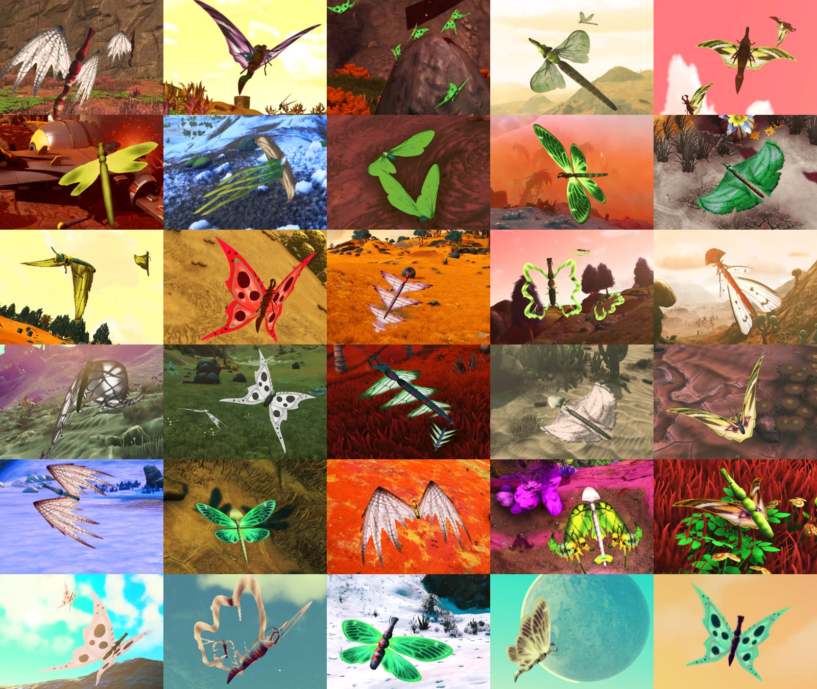 Butterflies: 30 different ones